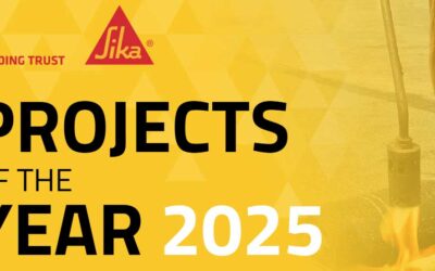 Roofing Contractor – Projects of the Year 2025